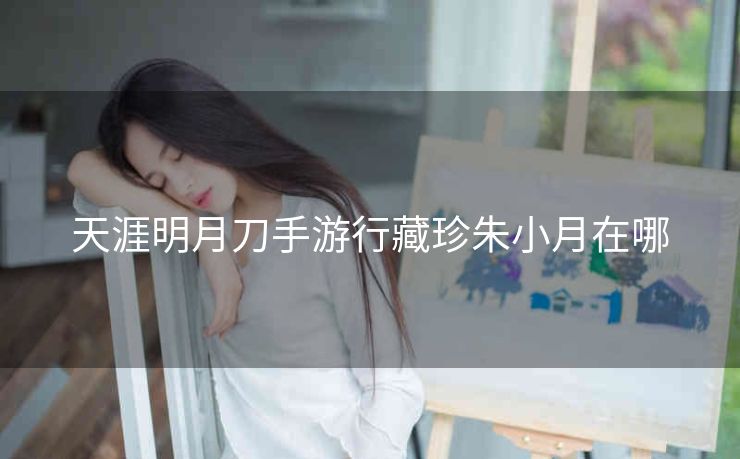 天涯明月刀手游行藏珍朱小月在哪