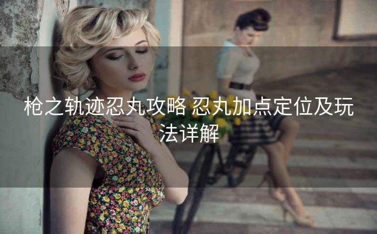 枪之轨迹忍丸攻略 忍丸加点定位及玩法详解