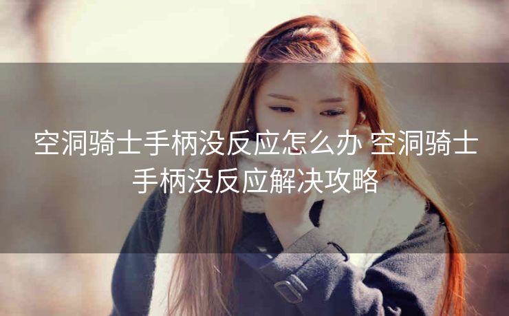 空洞骑士手柄没反应怎么办 空洞骑士手柄没反应解决攻略