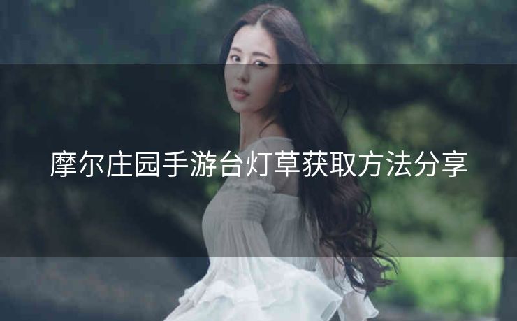 摩尔庄园手游台灯草获取方法分享