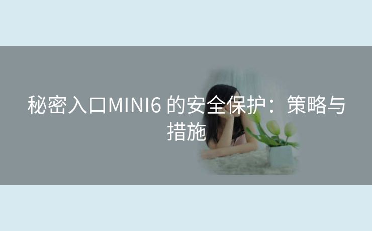 秘密入口MINI6 的安全保护：策略与措施