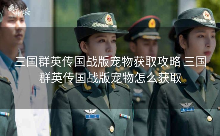 三国群英传国战版宠物获取攻略 三国群英传国战版宠物怎么获取