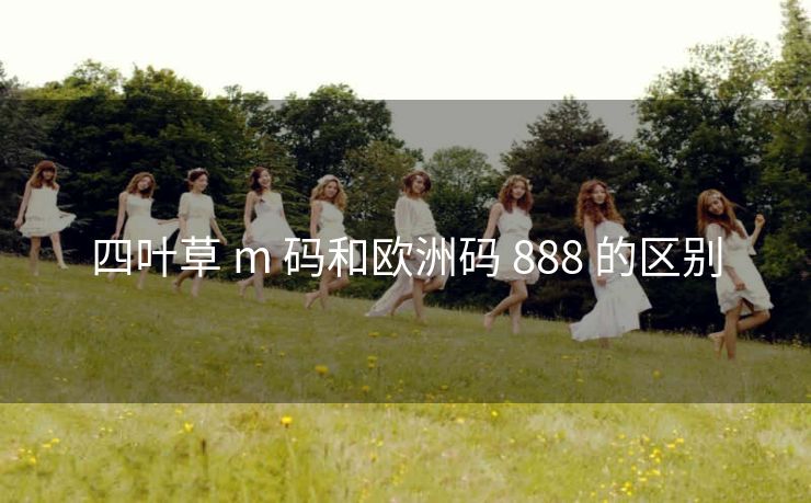 四叶草 m 码和欧洲码 888 的区别