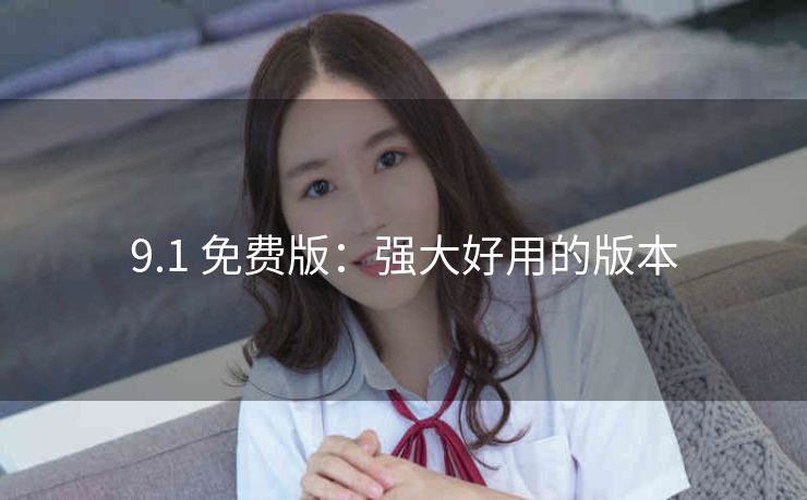 9.1 免费版：强大好用的版本