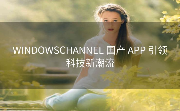 WINDOWSCHANNEL 国产 APP 引领科技新潮流