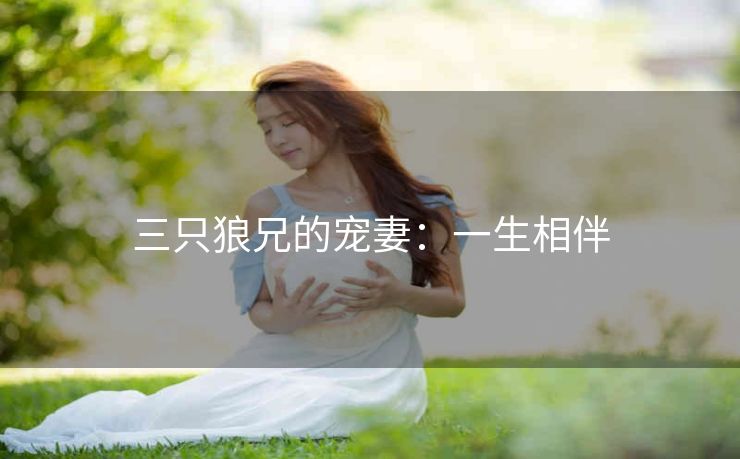 三只狼兄的宠妻：一生相伴