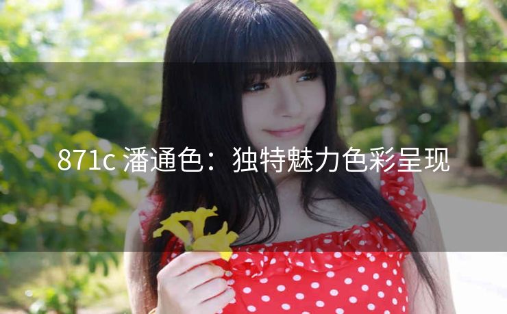 871c 潘通色：独特魅力色彩呈现