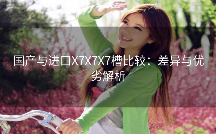 国产与进口X7X7X7槽比较：差异与优劣解析