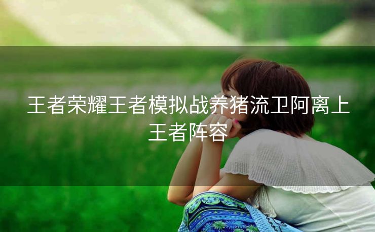 王者荣耀王者模拟战养猪流卫阿离上王者阵容