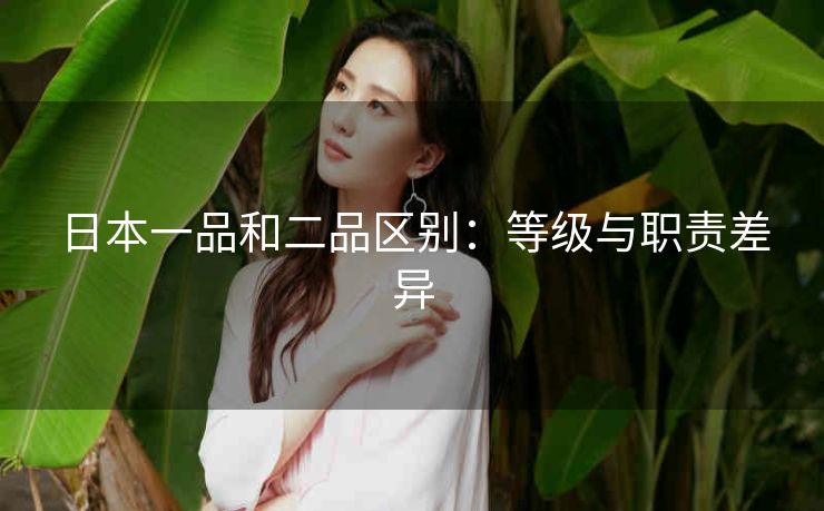 日本一品和二品区别：等级与职责差异
