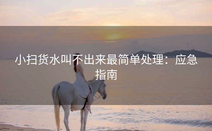 小扫货水叫不出来最简单处理：应急指南