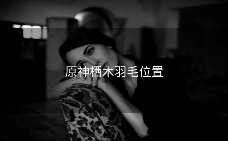 原神栖木羽毛位置