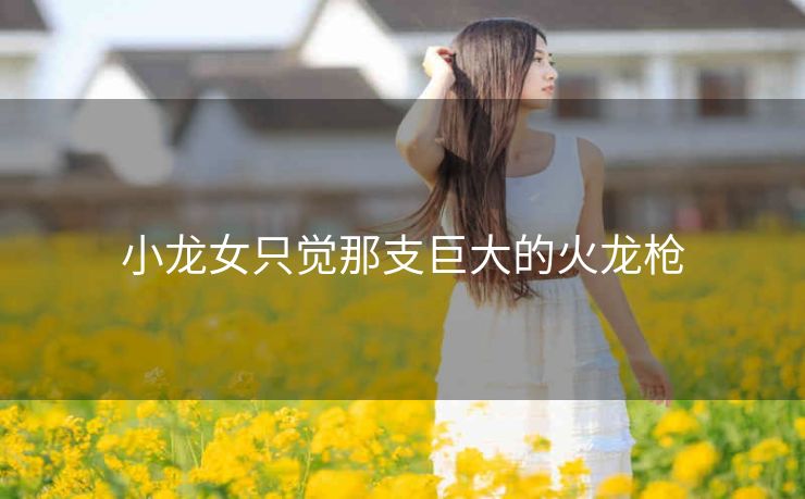 小龙女只觉那支巨大的火龙枪
