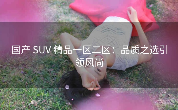 国产 SUV 精品一区二区：品质之选引领风尚