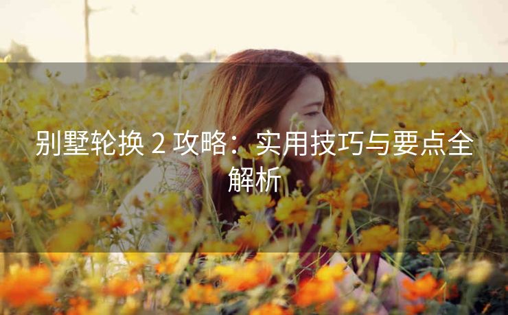 别墅轮换 2 攻略：实用技巧与要点全解析