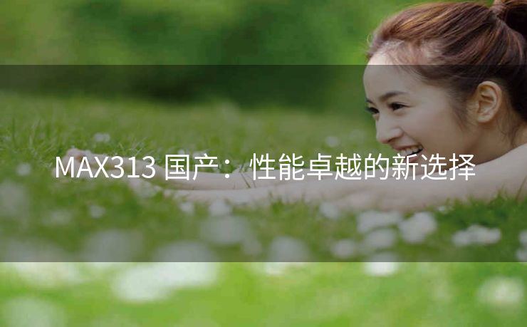 MAX313 国产：性能卓越的新选择