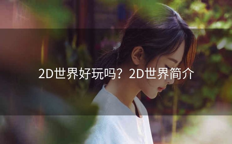 2D世界好玩吗？2D世界简介