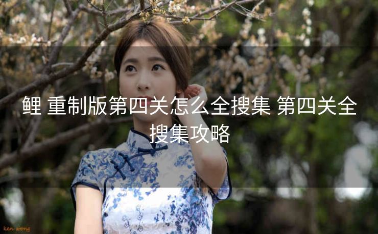 鲤 重制版第四关怎么全搜集 第四关全搜集攻略