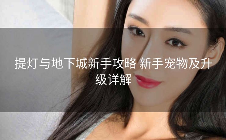 提灯与地下城新手攻略 新手宠物及升级详解