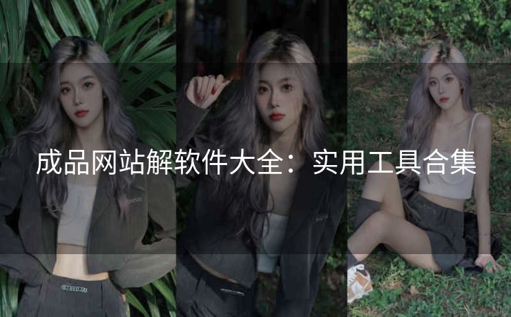 成品网站解软件大全：实用工具合集