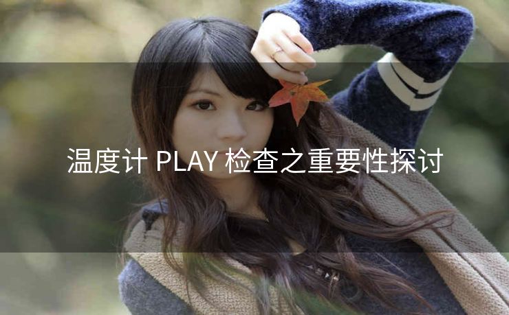 温度计 PLAY 检查之重要性探讨
