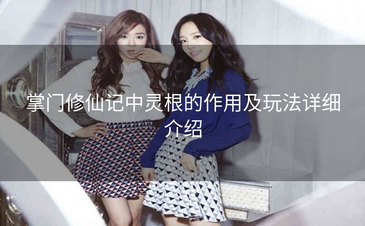 掌门修仙记中灵根的作用及玩法详细介绍