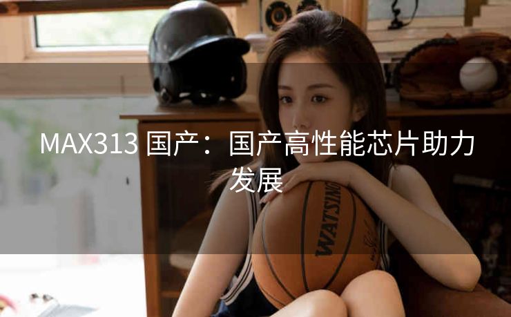 MAX313 国产：国产高性能芯片助力发展