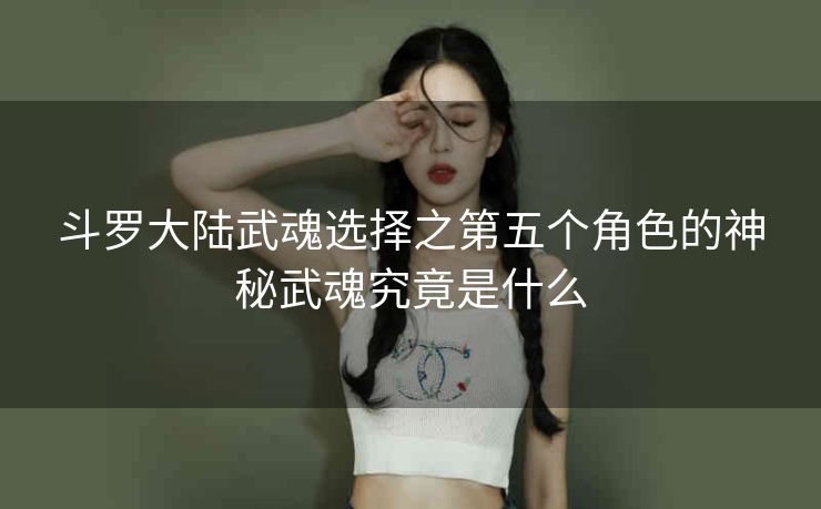 斗罗大陆武魂选择之第五个角色的神秘武魂究竟是什么