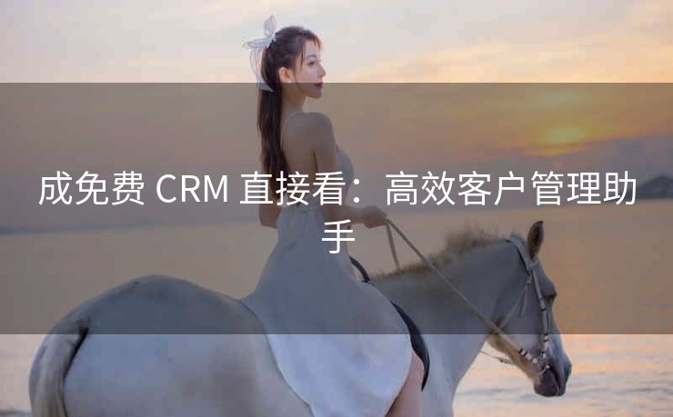 成免费 CRM 直接看：高效客户管理助手