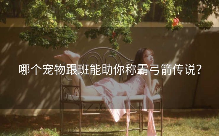 哪个宠物跟班能助你称霸弓箭传说？
