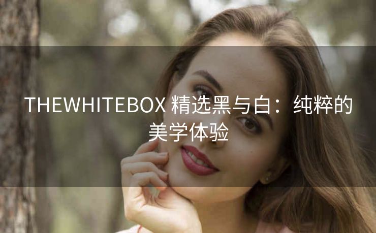 THEWHITEBOX 精选黑与白：纯粹的美学体验