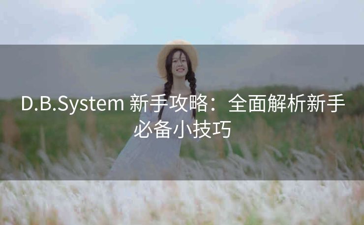 D.B.System 新手攻略：全面解析新手必备小技巧