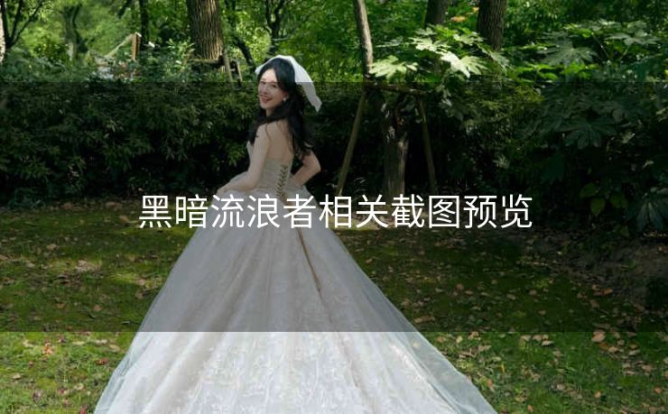 黑暗流浪者相关截图预览