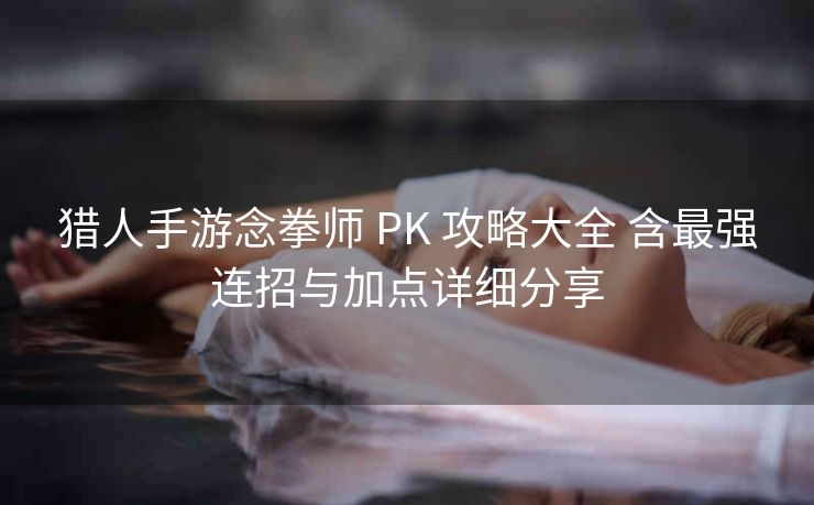 猎人手游念拳师 PK 攻略大全 含最强连招与加点详细分享