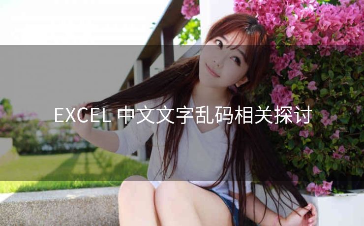 EXCEL 中文文字乱码相关探讨