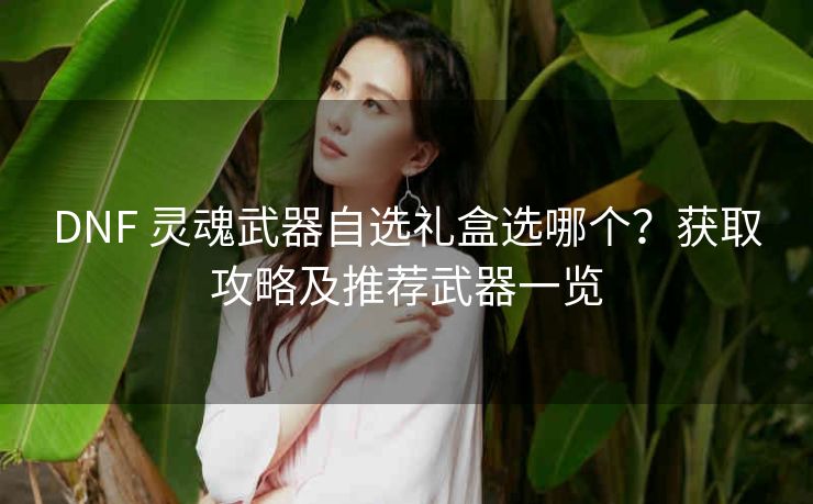 DNF 灵魂武器自选礼盒选哪个？获取攻略及推荐武器一览