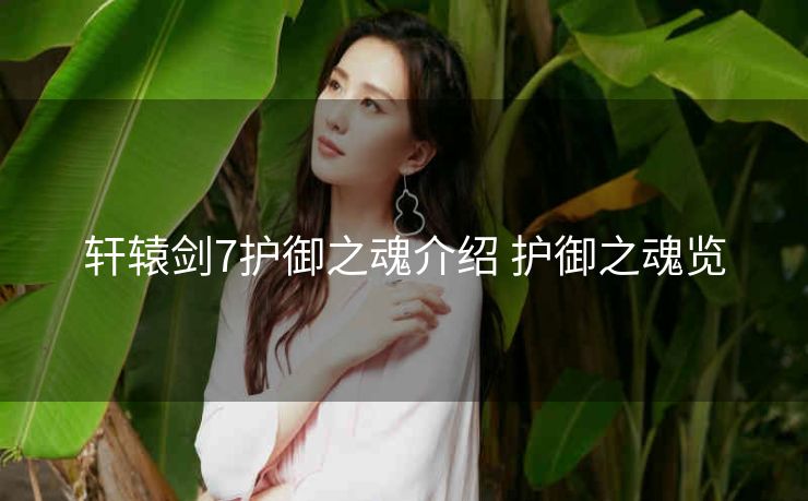 轩辕剑7护御之魂介绍 护御之魂览