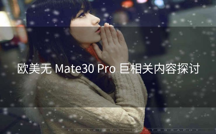 欧美无 Mate30 Pro 巨相关内容探讨