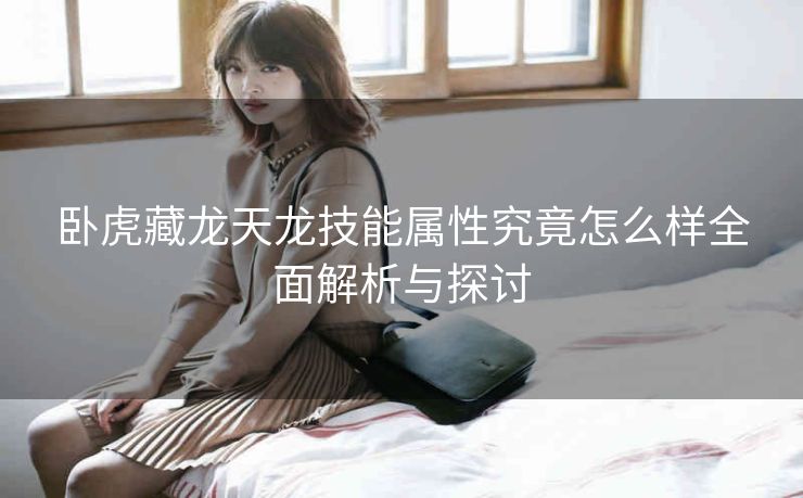 卧虎藏龙天龙技能属性究竟怎么样全面解析与探讨