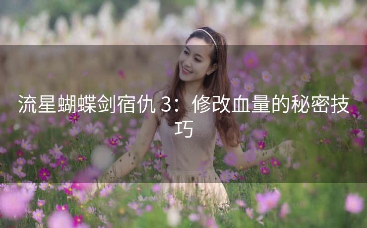 流星蝴蝶剑宿仇 3：修改血量的秘密技巧