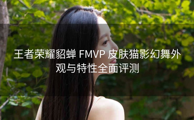 王者荣耀貂蝉 FMVP 皮肤猫影幻舞外观与特性全面评测