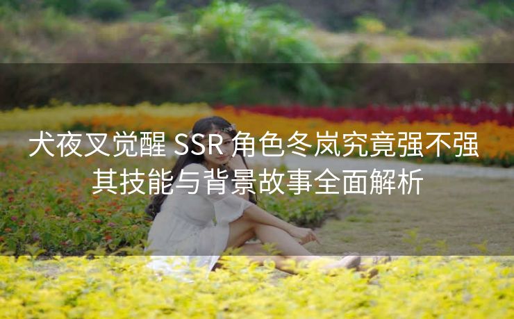 犬夜叉觉醒 SSR 角色冬岚究竟强不强 其技能与背景故事全面解析