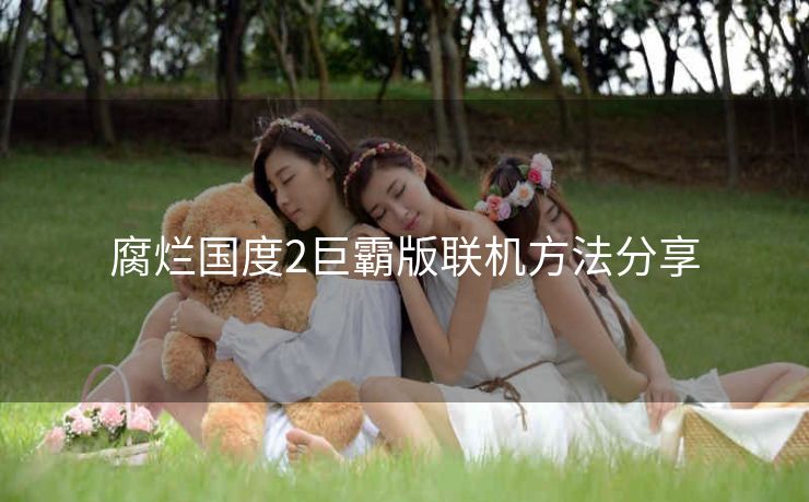 腐烂国度2巨霸版联机方法分享