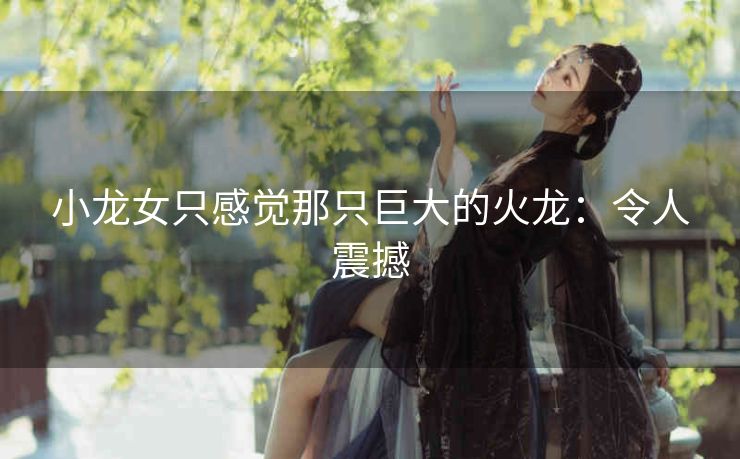 小龙女只感觉那只巨大的火龙：令人震撼