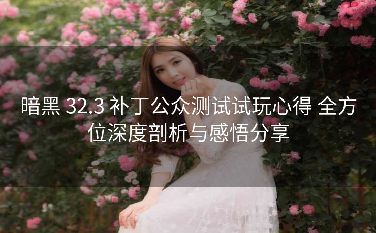 暗黑 32.3 补丁公众测试试玩心得 全方位深度剖析与感悟分享