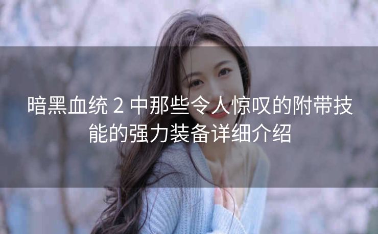 暗黑血统 2 中那些令人惊叹的附带技能的强力装备详细介绍