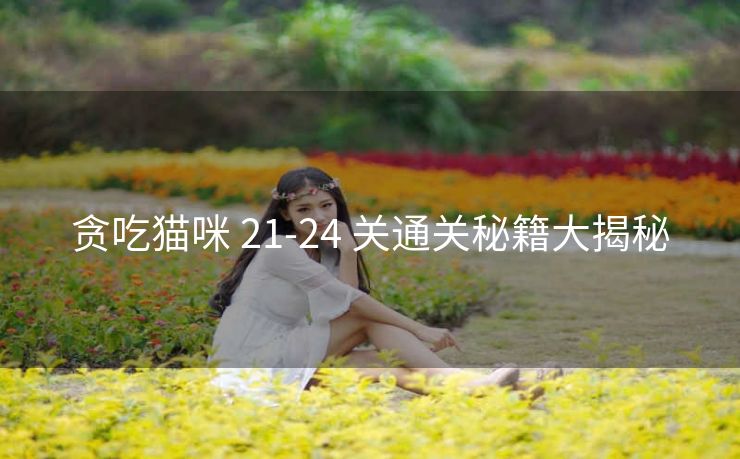 贪吃猫咪 21-24 关通关秘籍大揭秘