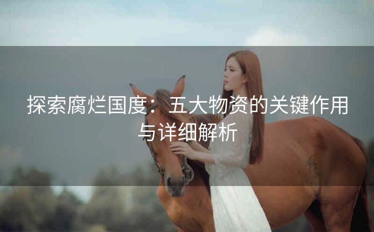 探索腐烂国度：五大物资的关键作用与详细解析