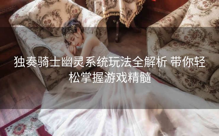 独奏骑士幽灵系统玩法全解析 带你轻松掌握游戏精髓