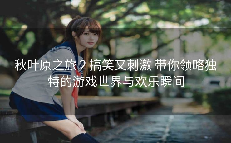 秋叶原之旅 2 搞笑又刺激 带你领略独特的游戏世界与欢乐瞬间